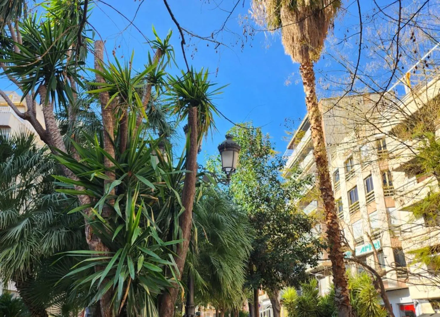 Apartamento De 3 Dormitorios Jardinillos Centro Jaén